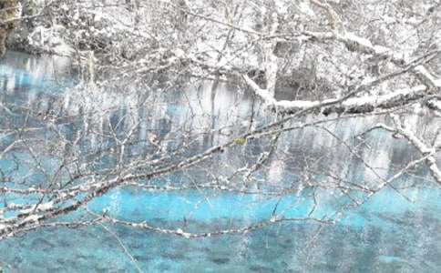 ������ȫ�㲥�� 