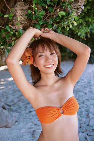 佛山南海区红木家具企业抱团参展家博会 打响红木品牌