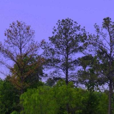 讲座｜陈晋：从MBTI到多重人格，我们如何定义自我？