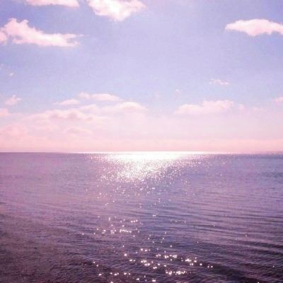 日本一本首视频二区