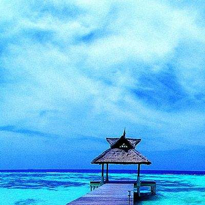 旅行博主阿里:中国的故事是传承历史、大胆创新