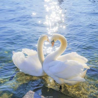 广州发布首份福利彩票社会责任报告