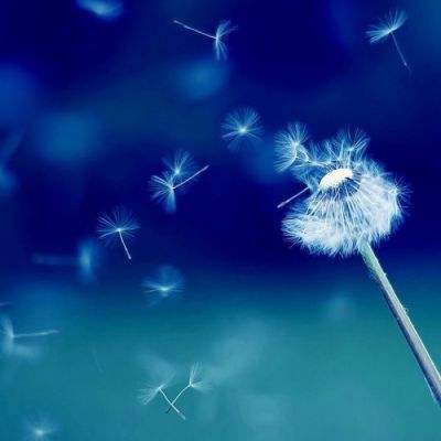 美国指责中国扣押巴拿马籍船舶 北京批美暴露霸占运河图谋