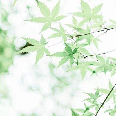 辟谣！《考试周刊》等三家期刊均未建立网站进行宣传