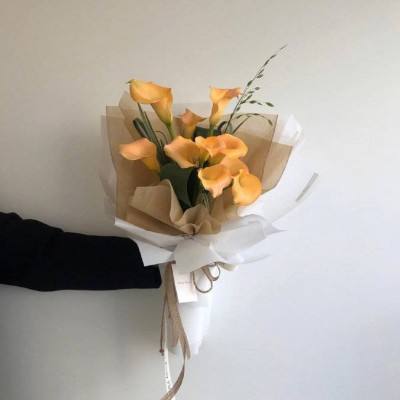 北京提供文化活动34万场