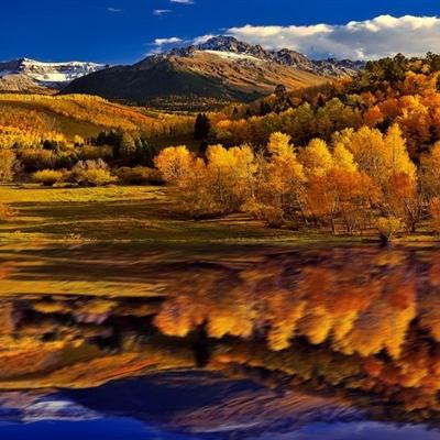 VAM小医仙国漫3DMAX成品资源