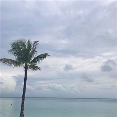 世间本无蓝颜截图