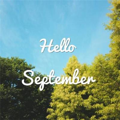 “迪士尼奇妙花园”展览将于12月在新加坡滨海湾花园开幕