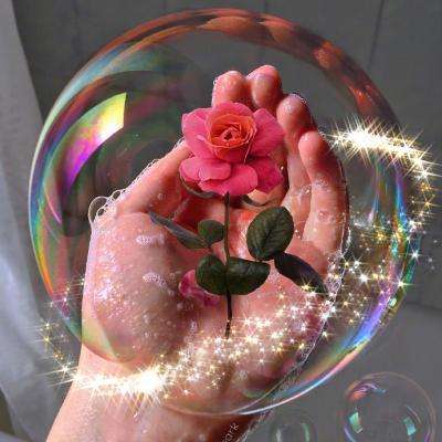 中国-南非经贸合作论坛推动深化互利合作