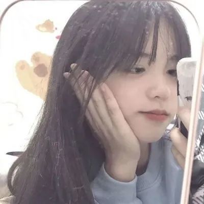 习近平参加青海代表团审议
