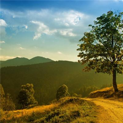 国投生物制造创新研究院有限公司及所属能力平台公开招聘公告