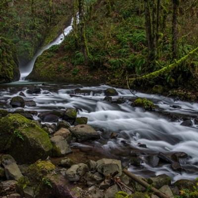 读懂《贫穷的本质》