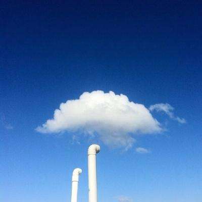 普京表彰冬残奥会运动员 - March 21, 2026