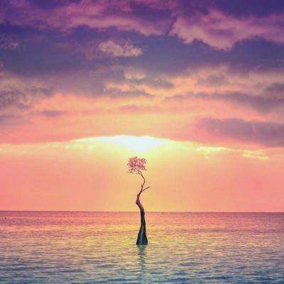 国台办：无论民进党当局如何拉拢外部势力 都改变不了“台独”必然败亡的下场