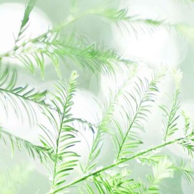 超品年货节H5