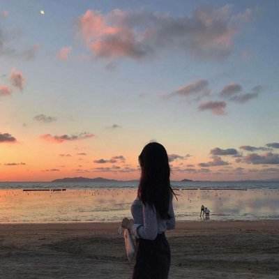 dx大象回家地址