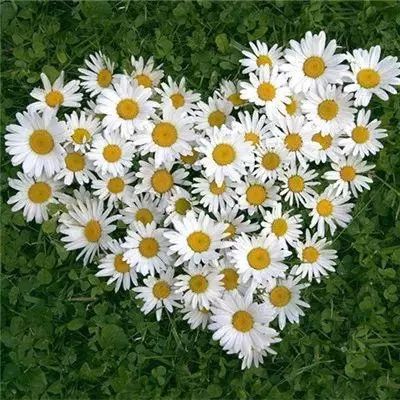 一场辩论之后，认真聊聊“本体论”