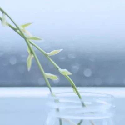 远景法国超级工厂投产 中法携手引领绿色能源转型