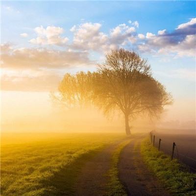 世间本无蓝颜截图