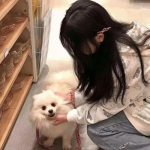 美国抛“讲和”计划，伊朗：请摆正位置