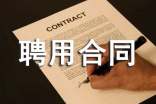 聘用合同范本合集15篇