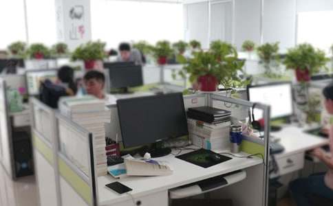 �칫���Բ鱨��