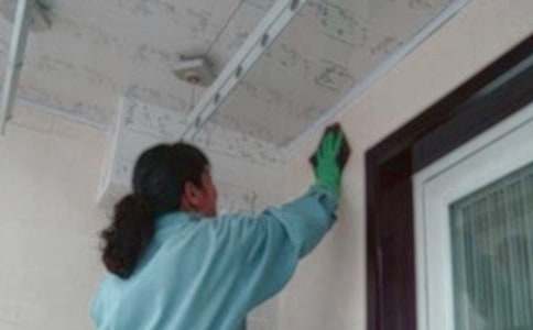 ����������ְ����5ƪ