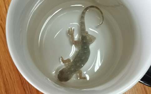 ��С�ڻ���β�͡���ѧ��˼