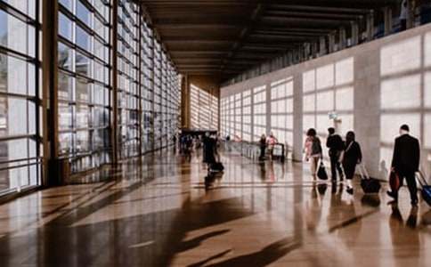 �����ĵ����