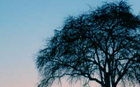 ��С��������ĶԻ����Ľ�ѧ��˼