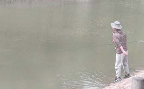 《小猫钓鱼》教学设计