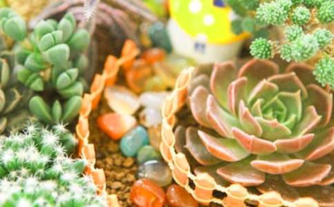 ������ķ�����Ȧ˵˵