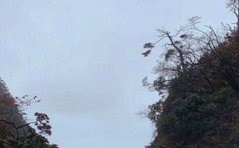 ��üɽ�𶥵��δʣ���ѡ8ƪ��