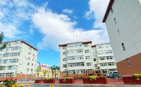 ������Ȩί����(15ƪ)