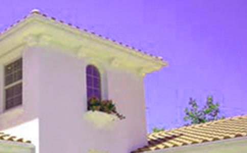 ���ᶯ�ķ��ӡ�˵�θ�