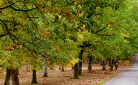 ɽ����ƽ�ڷ羰�����δ�6ƪ