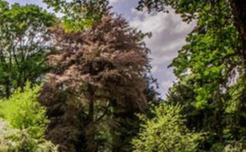 ��ɽ�羰�����δ�10ƪ