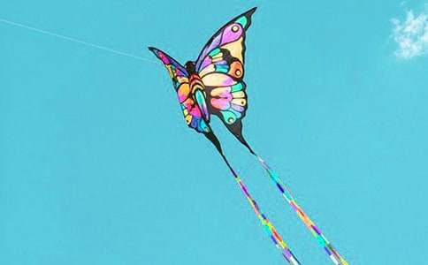 亲子放风筝活动策划书