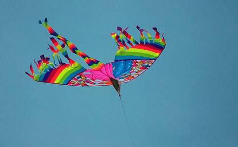 �����ݡ���ѧ���