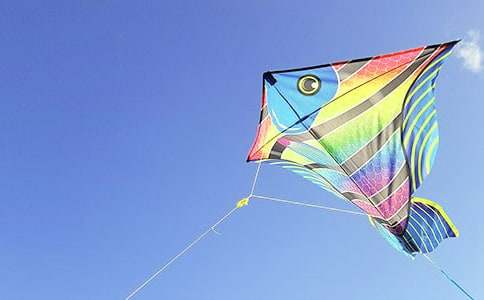 ����ķ��ݽ�ѧ��˼