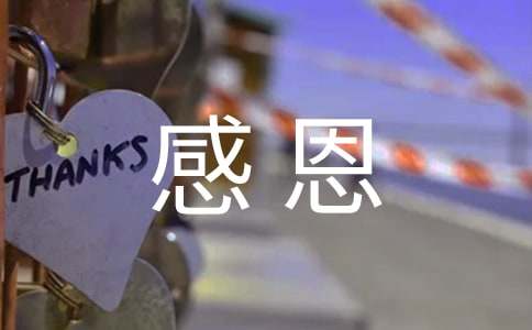 �ж�������