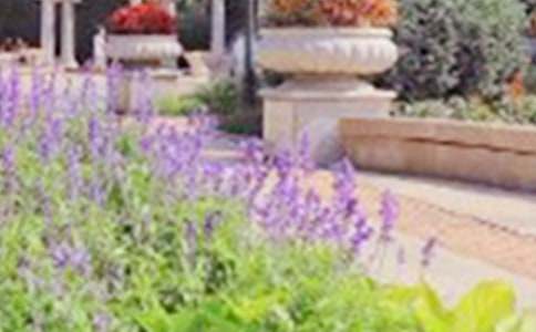 ���ܽ������ݹ�԰�ĵ��δʷ���_���δʷ���