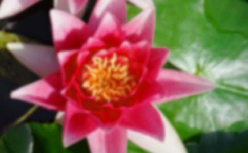 �����ͺɻ�������Ȧ�ľ��ӣ�ͨ��210�䣩