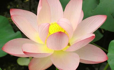 ���ɻ�����ѧ��˼