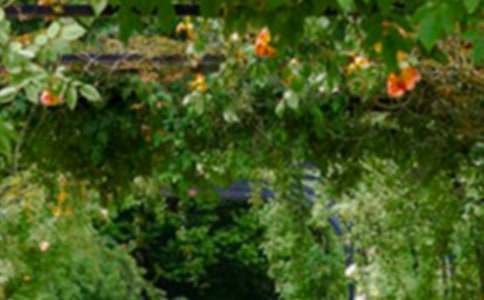 �����˵Ļ�԰����ѧ���