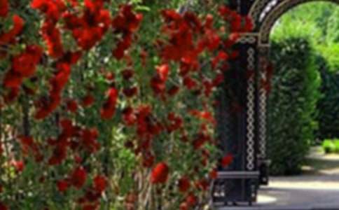 �����˵Ļ�԰����ѧ���