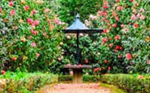 ���˵Ļ�԰��ѧ���