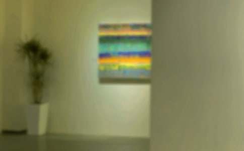 �黭չ�������뺯