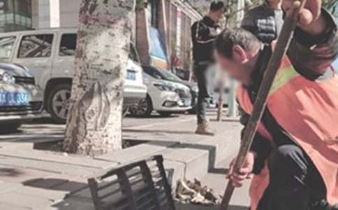 ��������ο���ż���6ƪ