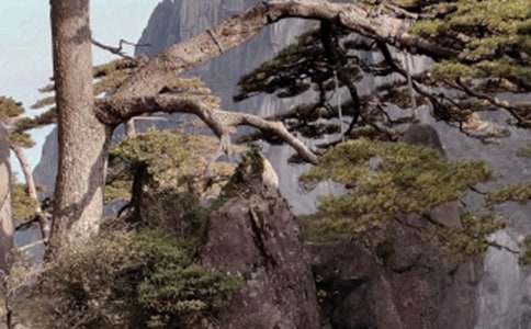 黄山导游词(荐)